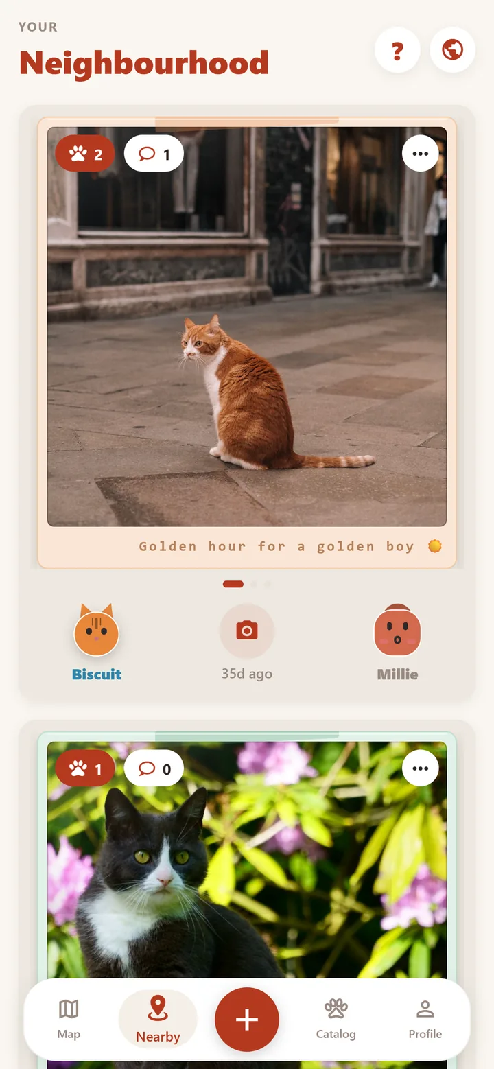 The Nearby feed: a photo of a ginger and white cat sitting on paving stones, captioned βGolden hour for a golden boyβ, with two paws and one comment.
